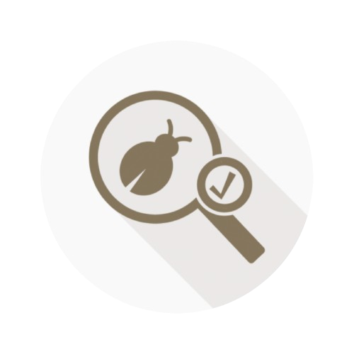 Examined Software Tester