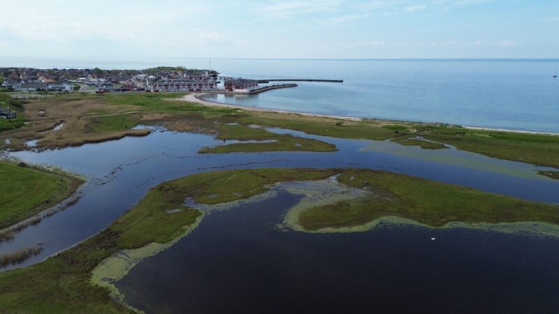 Styrelsen for Grøn Arealomlægning og Vandmiljø (SGAV) – Styrket testarbejde gennem modenhedsanalyse og uddannelse